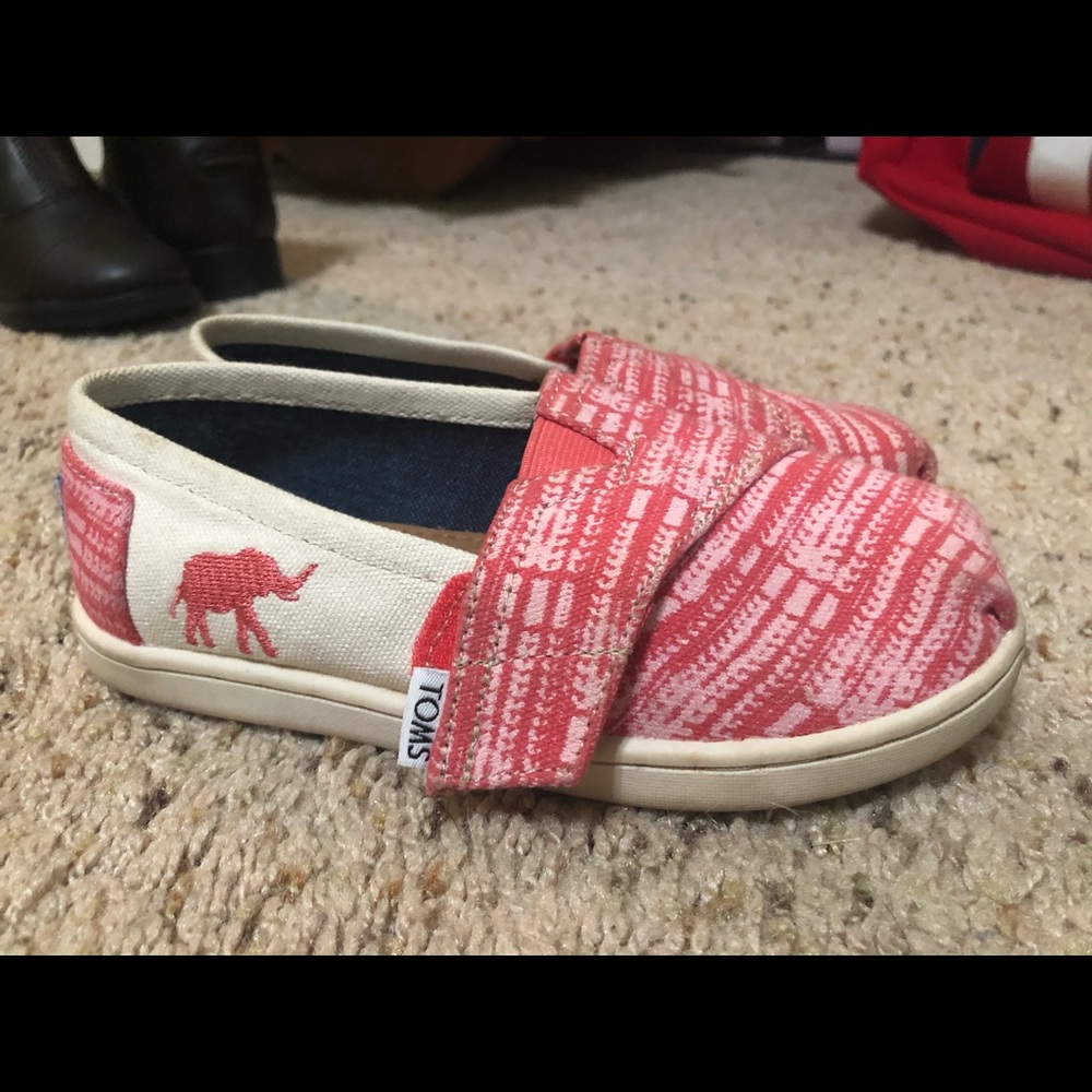Toddler size 10 TOMS